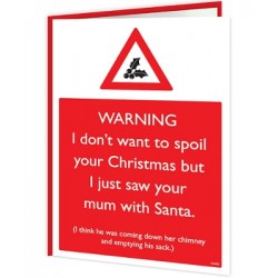 Christmas Warning - I Saw...