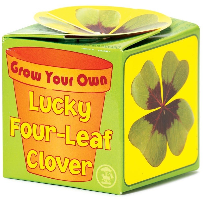 Grow Your Own Good Luck - Four Leaf Clover