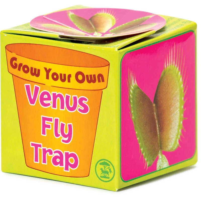 Collection 105+ Images venus fly trap 5 tarot card meaning Latest